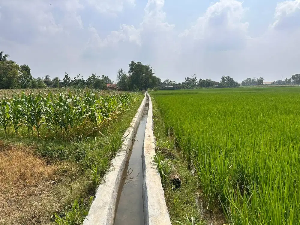 Tanah dijual Natar Lamsel
