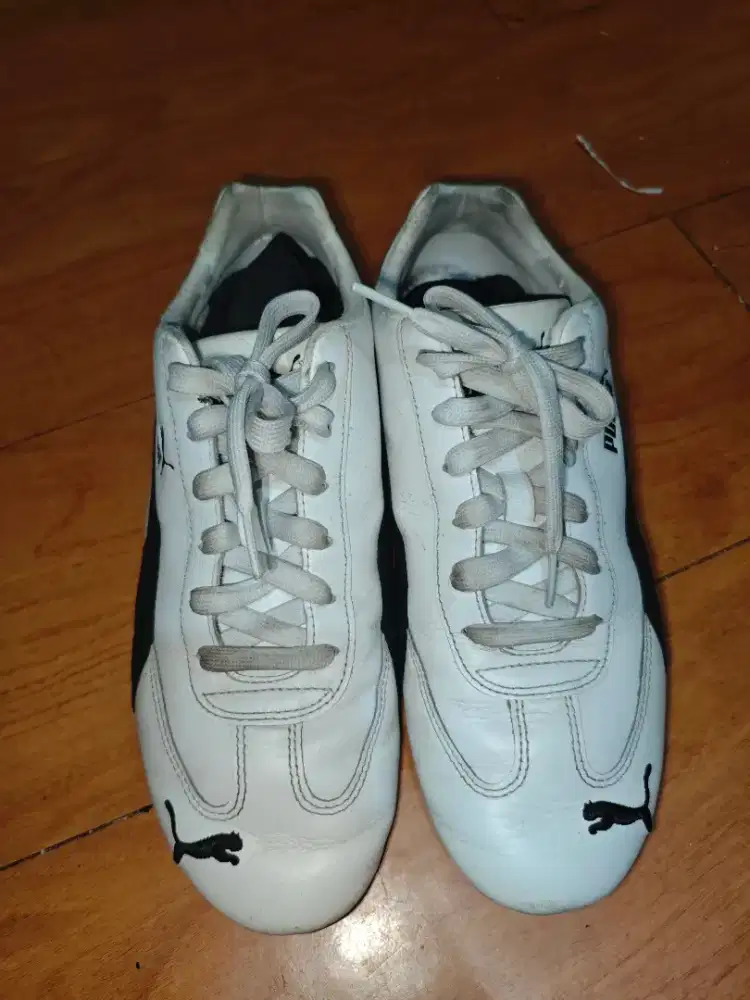 Speedcat putih original