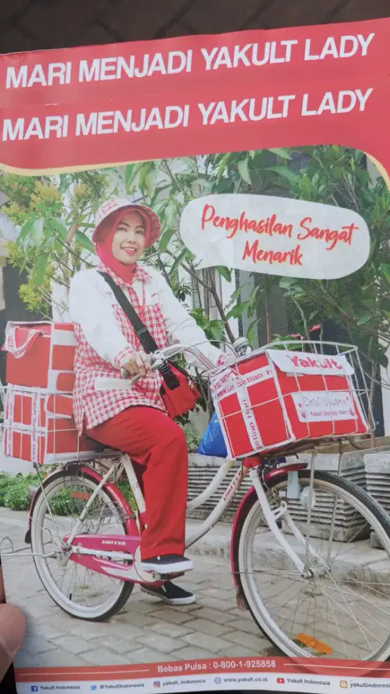 Lowongan Yakult Lady