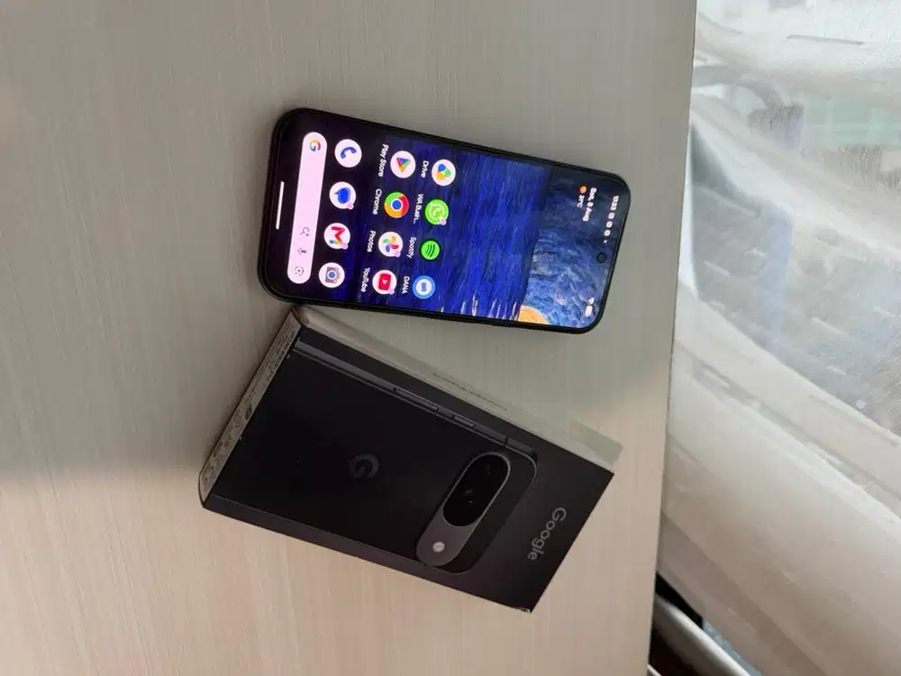 Google Pixel 9 Beacukai