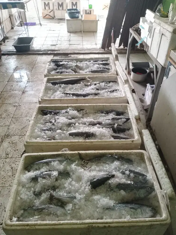 Lowongan Pekerjaan