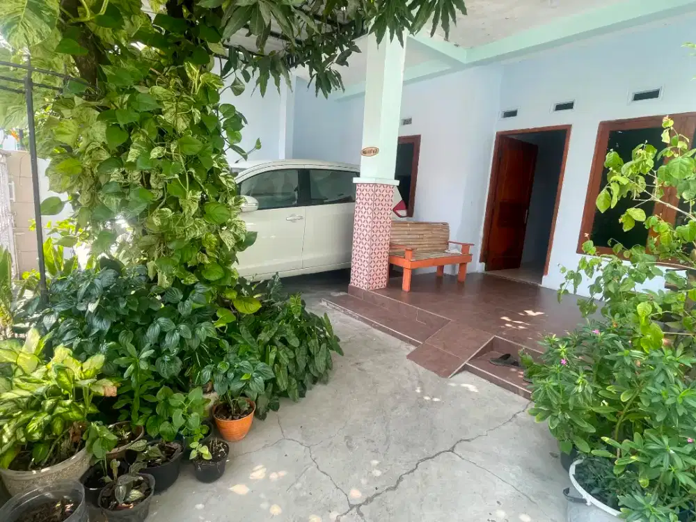 Rumah dijual siap huni panda palebon semarang timur