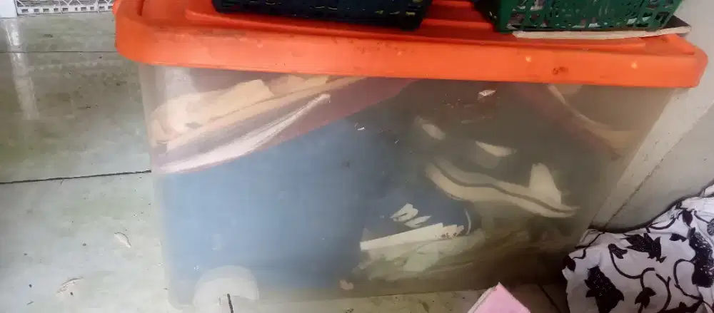 Box penyimpanan