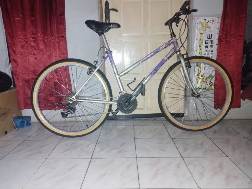 Sepeda federal pussy cat ss