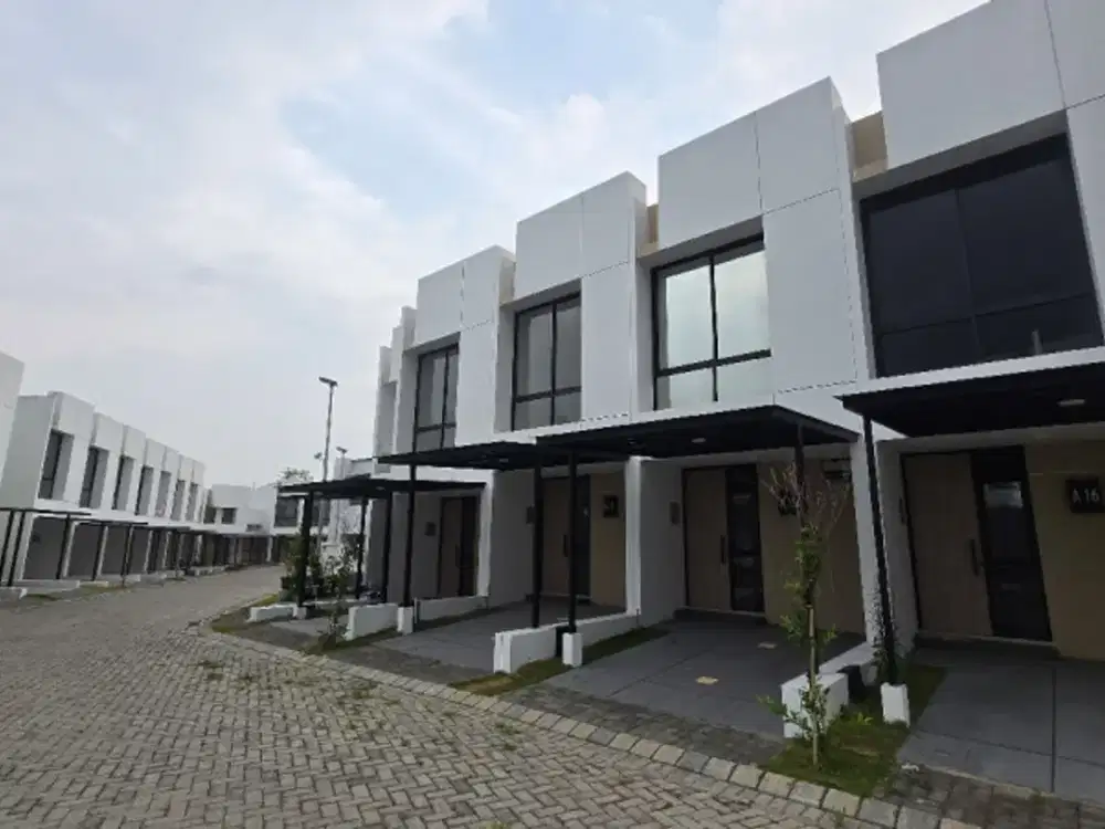 lyve Araya dekat binus