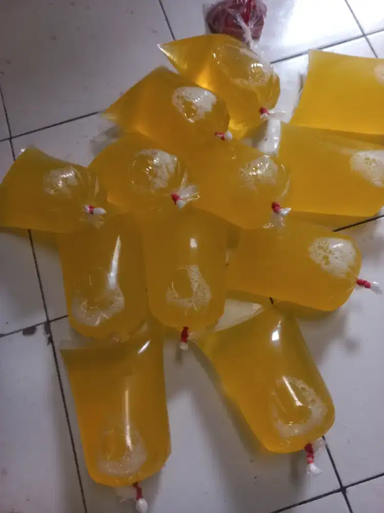 Putih telor 1 kg