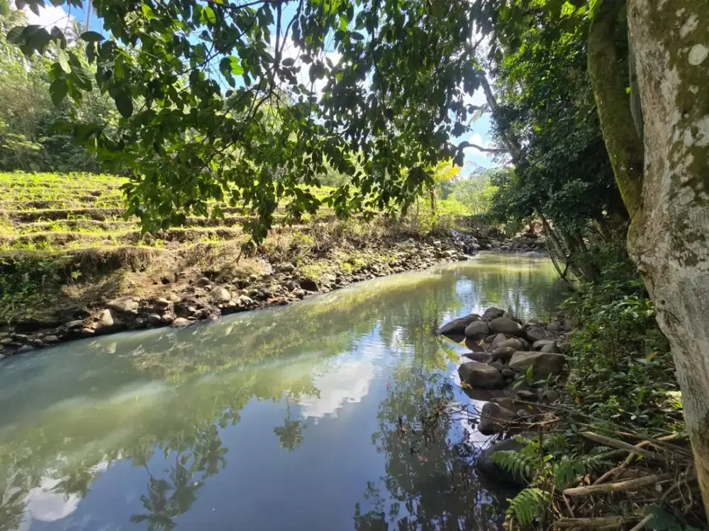 DIJUAL TANAH MURAH DI TABANAN