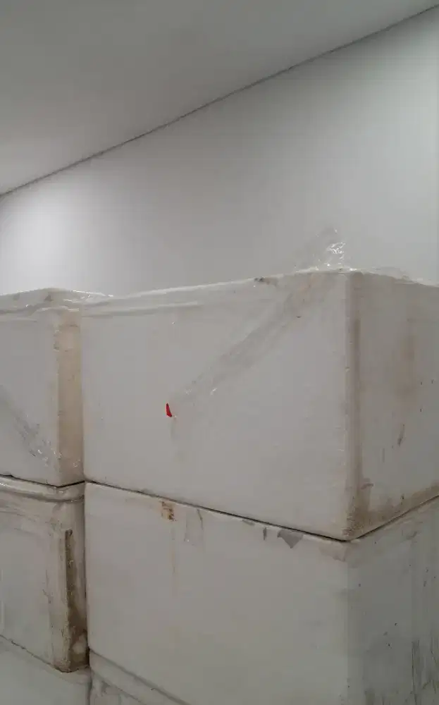 Styrofoam bekas