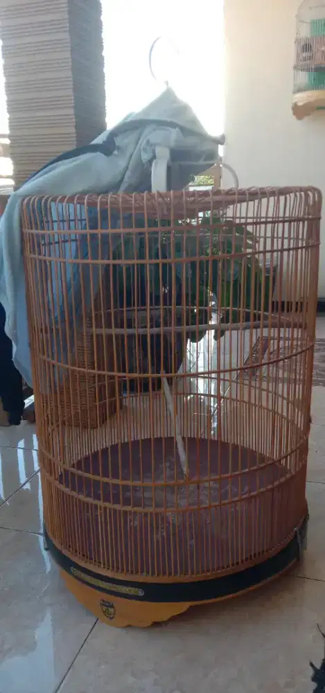 Di Jual Sangkar murai ukuran 58 fulset