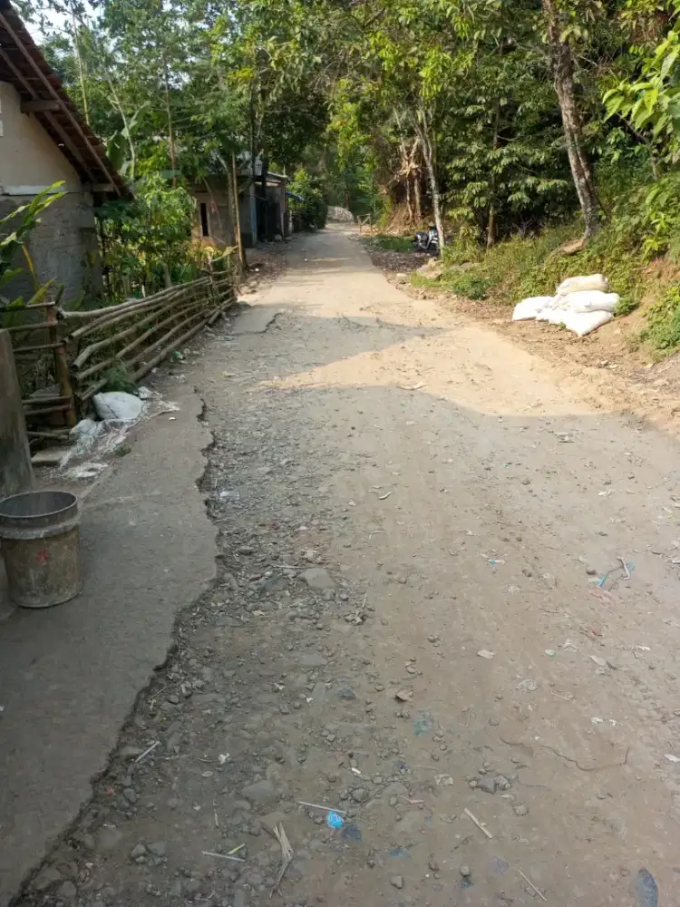 Di jual lhan tanah kebun durian lt 1 hektar ss SHM pinggir jln