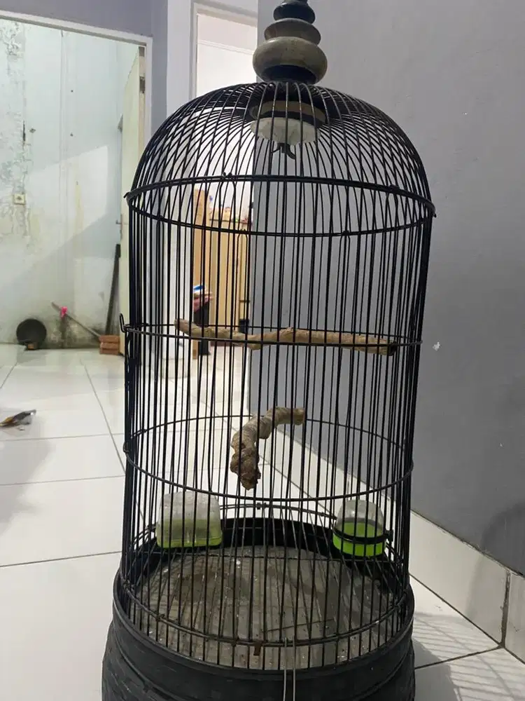 kandang bekas hitam