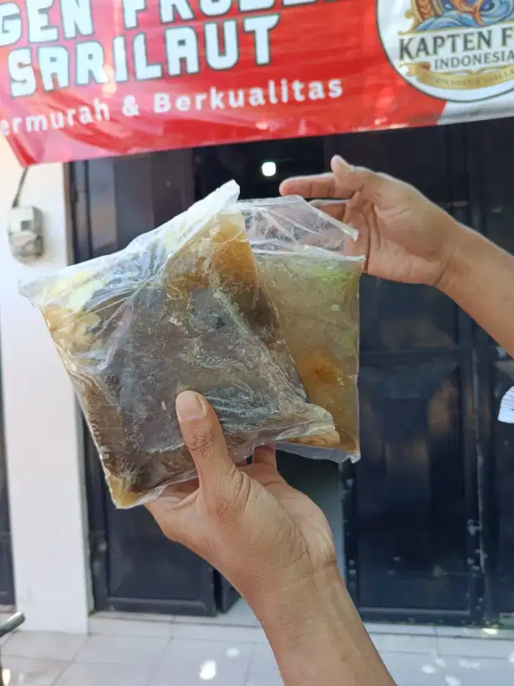 Aneka ikan segar