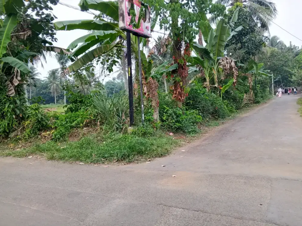 Di jual lhan tanah darat lt 9600 MTR ss AJB lokasi pinggiir jln kbpten