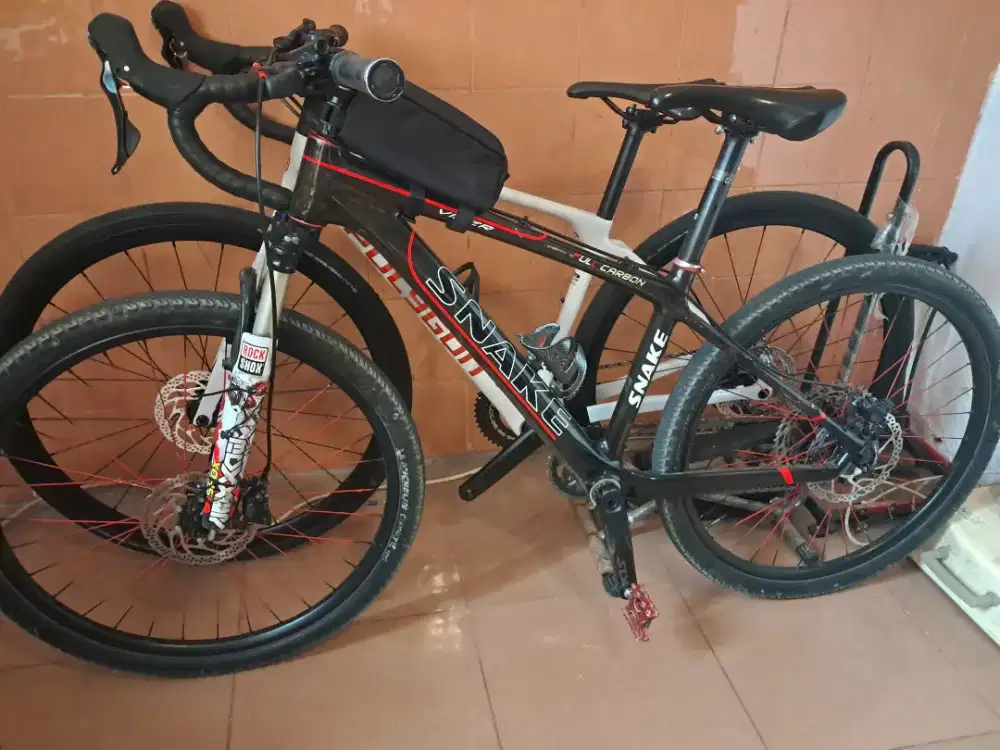 Sepedah gunung carbon