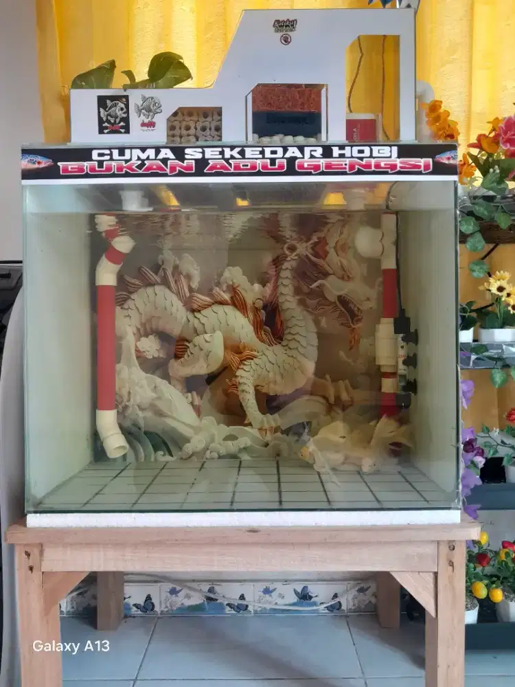 Aquarium  china style