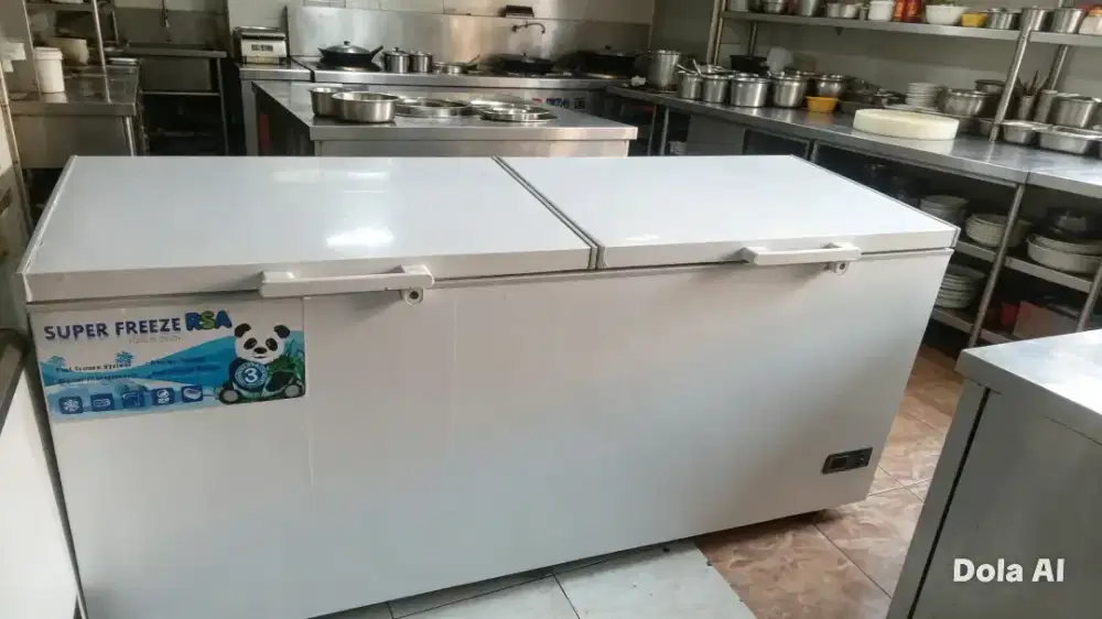 freezer box 750L RSA