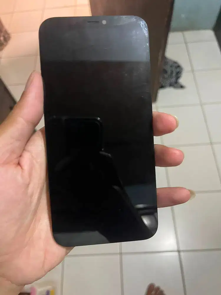 Lcd iPhone 12 pro max
