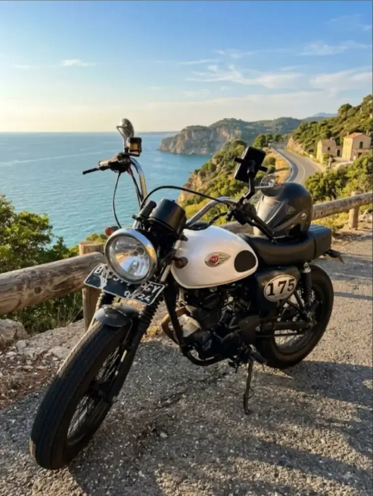 Kawasaki w175 se