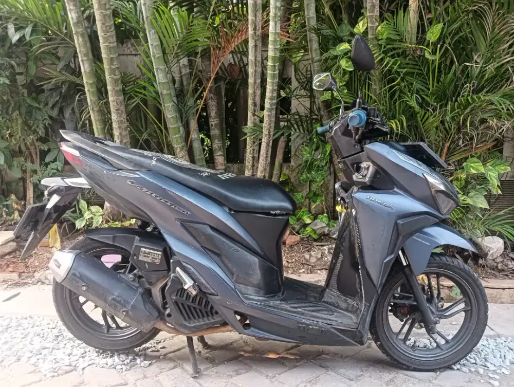 vario type kayless 2019