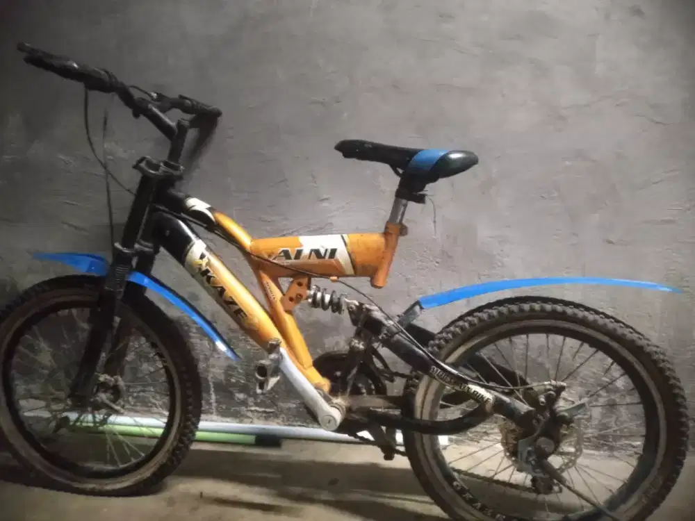 Sepeda anak bekas rasa baru