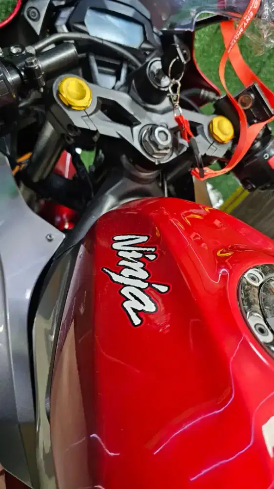 UD ENY MOTOR - Kawasaki Ninja Mono thn 2018 favorit