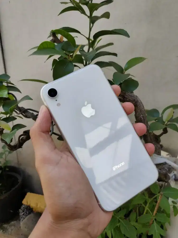 iPhone XR 256GB iBox Nominus