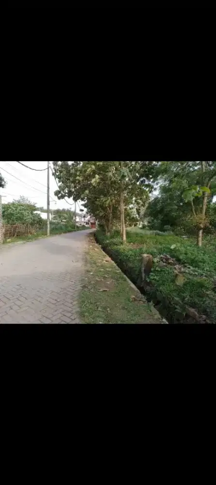 Dijual tanah Bisa di ambil minimal 300 mtr