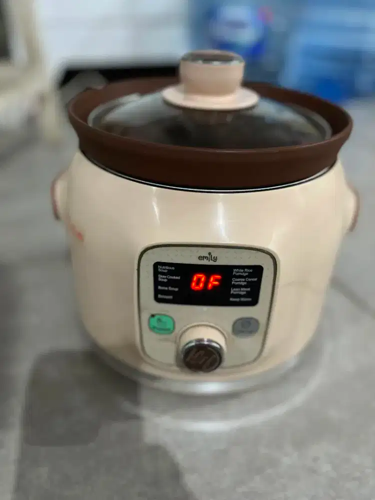 Slow Cooker Emily BEKAS