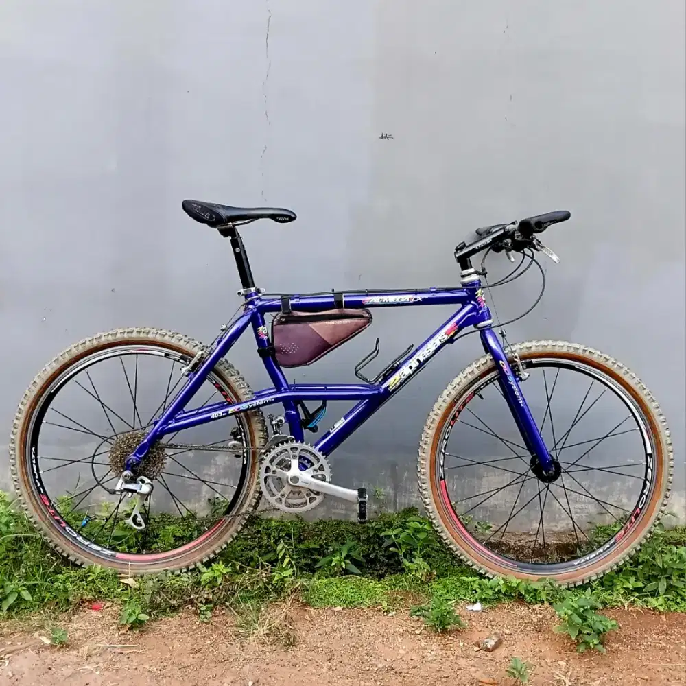 Mtb 26 vintage jadul kalcer Alpinestars