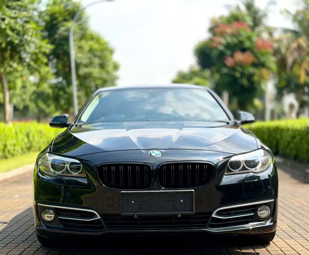 Pjk Pjg 1th Low Odo 70rb Record BMW 520d AT Modern LCI 2014 diesel slr