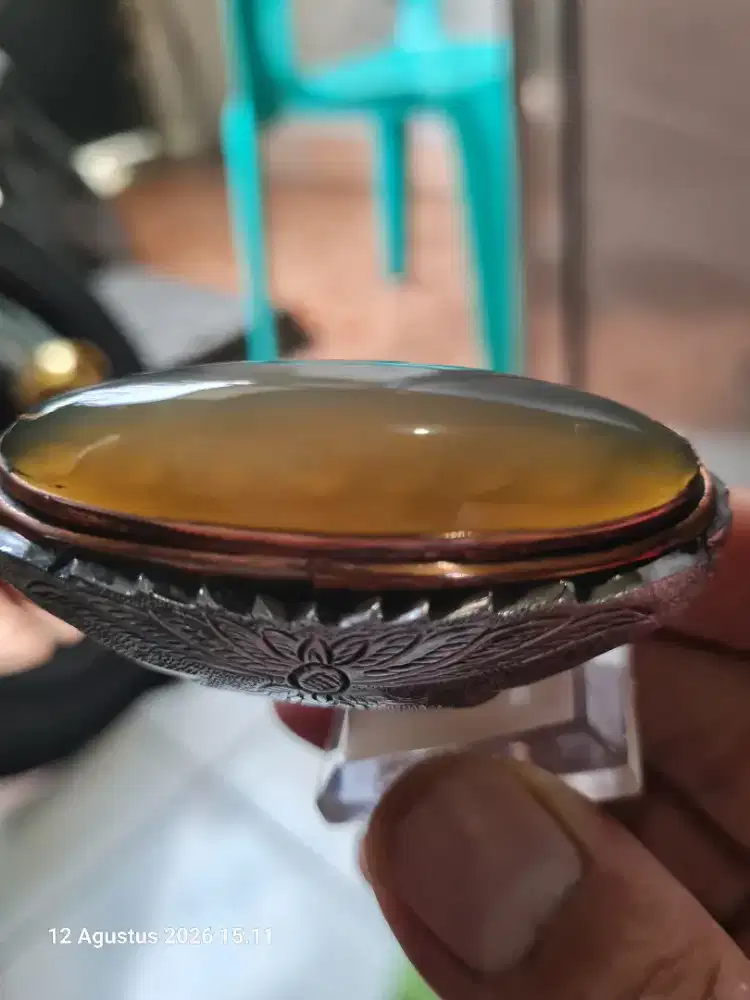 Pandan Sisi Arwana