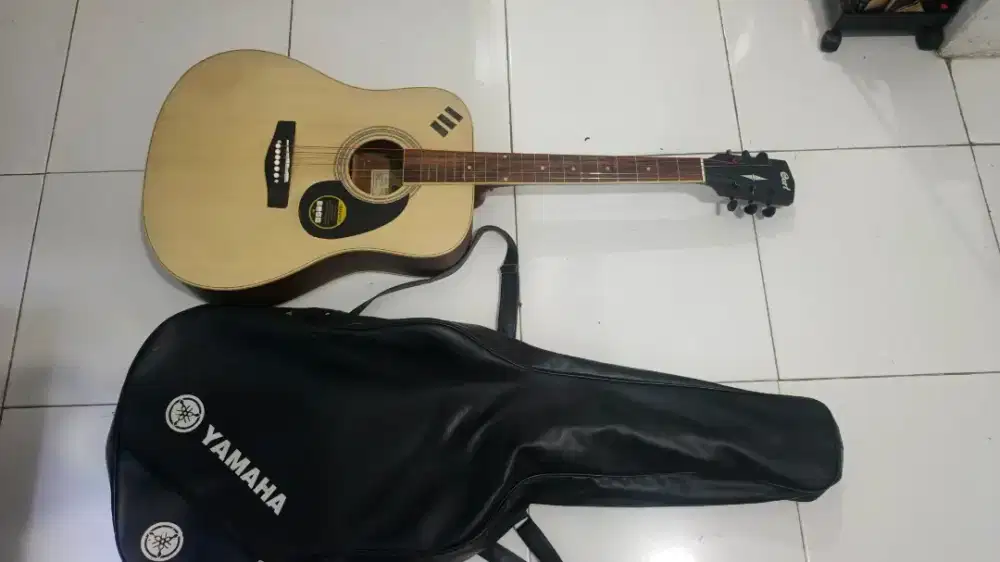 Cort guitar akustik