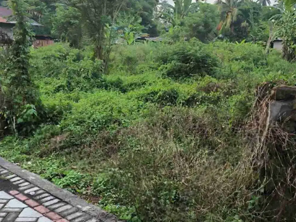 DIJUAL CEPAT TANAH MENARIK DAERAH MAPANGET, HARGA SANGAT MURAH