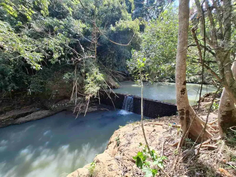 Dijual tanah kebun murah dengan sungau bebatuan murah di tabanan bali
