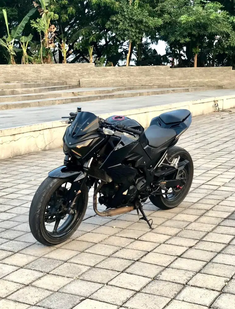 Kawasaki Z250 Fi