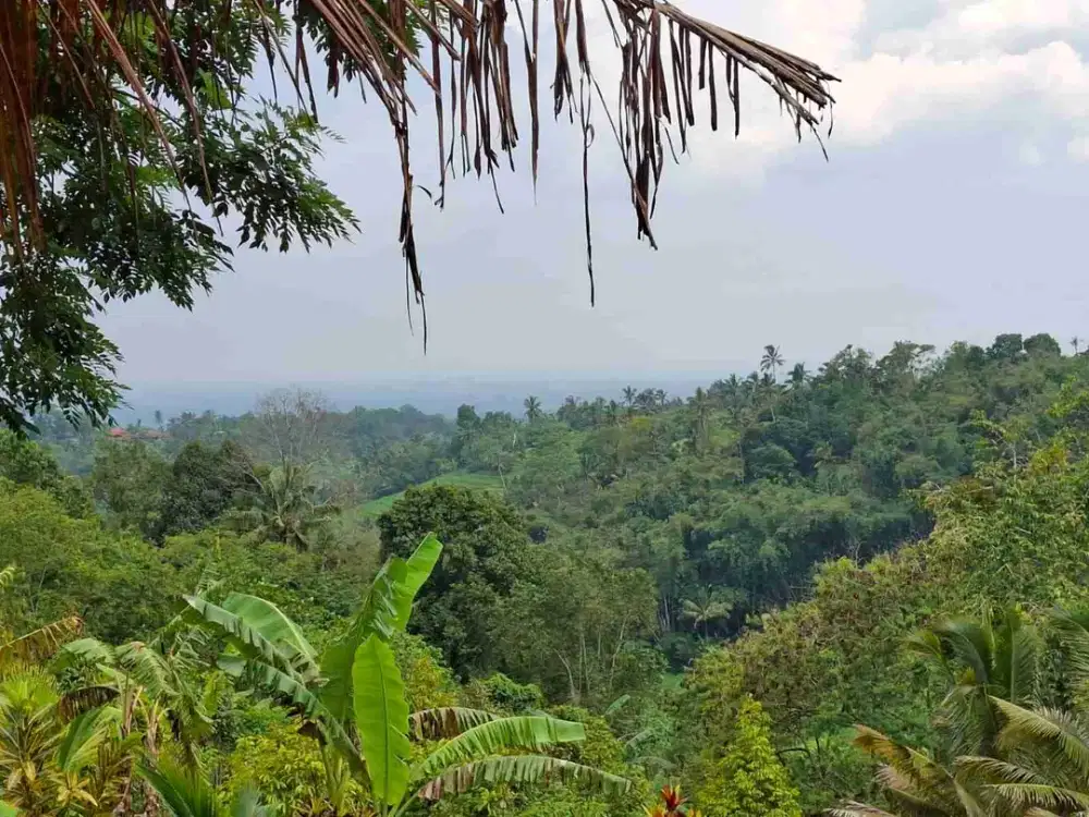 dijual tanah murah di penebel tabanan bali