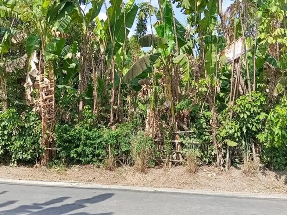 Tanah Pekarangan Lokasi Premium di Area Condong Catur Depok Sleman