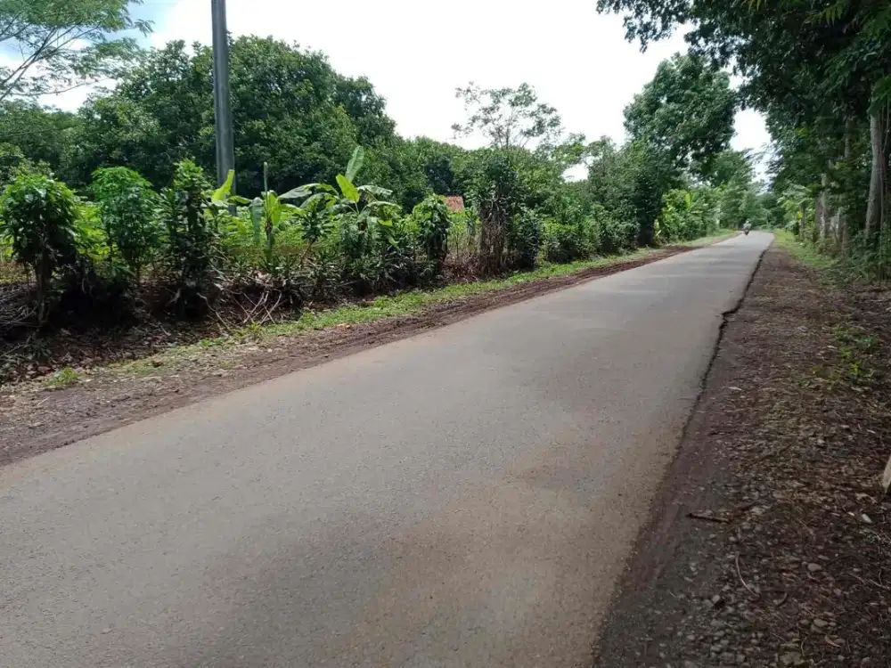 Dijual Tanah cikaum subang depan PT Jaffa masuk kontainer 25 menit dari tol kalijati
