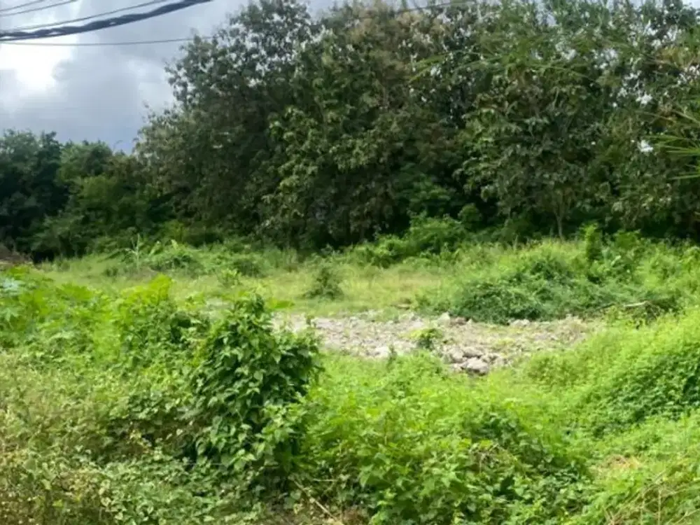 TANAH KAVLING TUNJUNG SARI TAMAN MUMBUL BADUNG
