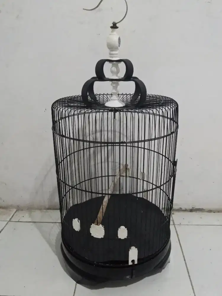 Kandang love bird Jumbo