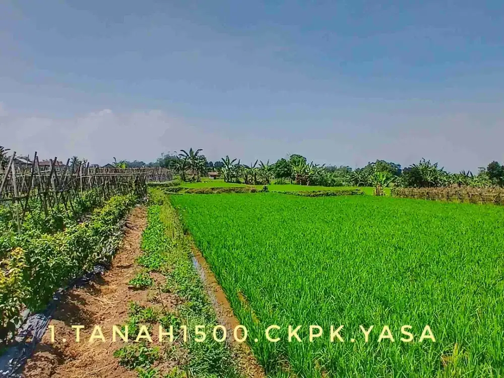 Dijual tanah strategis luas subur pinggir jalan akses mudah dekat kota