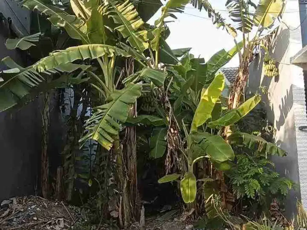 ‼LANGKA‼TANAH SIAP BANGUN DI KAHURIPAN NIRWANA SIDOARJO PUSAT