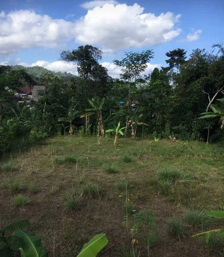 DIJUAL TANAH LOKASI STRATEGIS PINGGIR JALAN RAYA DENPASAR BEDUGUL
