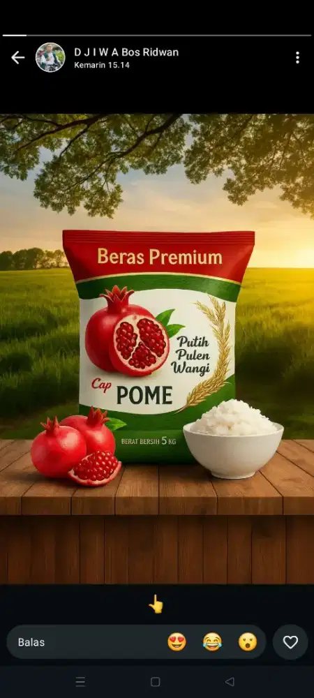 Beras premium kemasan 5 kg 10 kg 25 kg