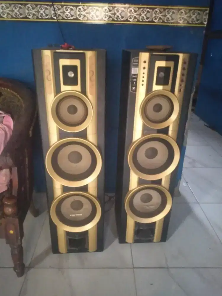 Salon polytron pas 29