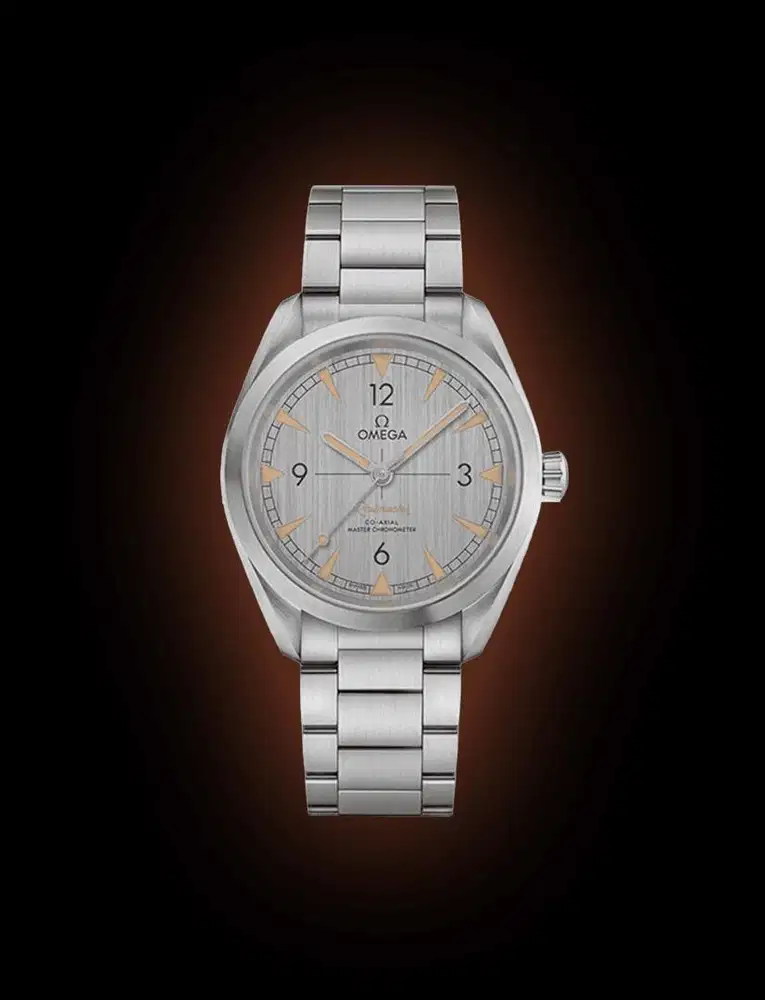 Omega Seamaster Railmaster Grey Dial with Bracelet 40