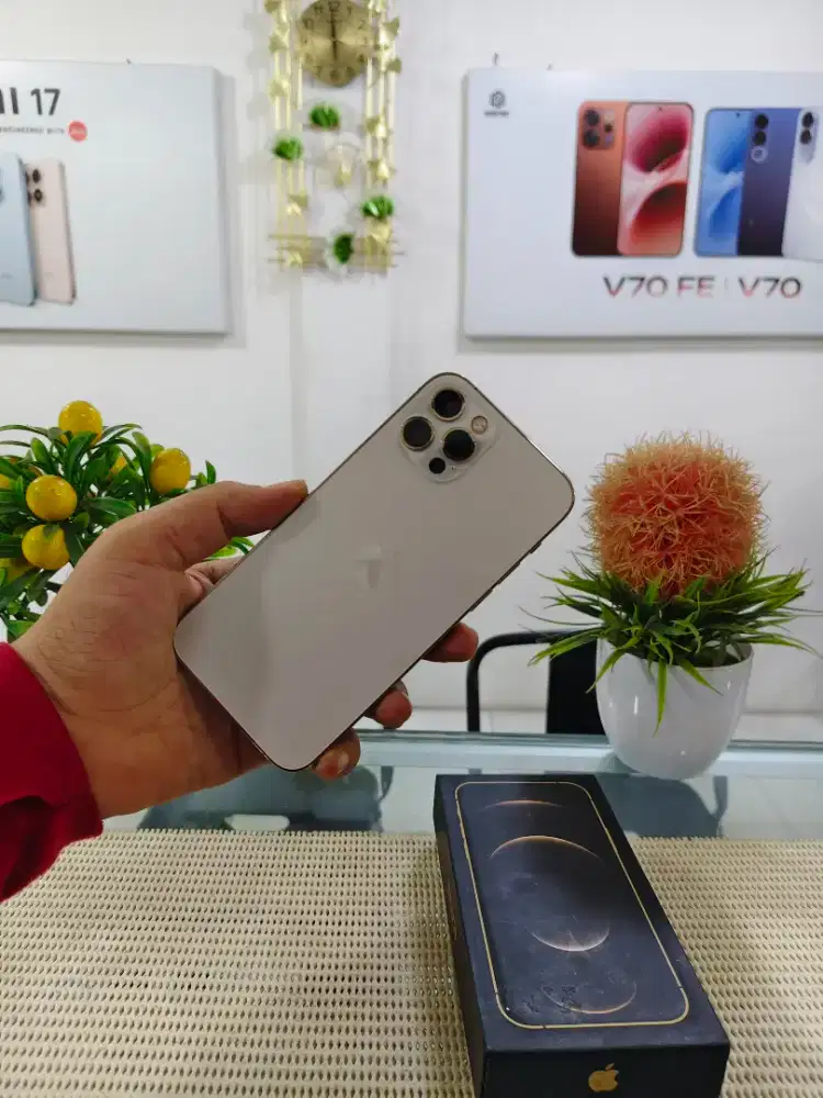 iPhone 12 Pro 256Gb Inter All Operator Mulus Original 100% Bergaransi