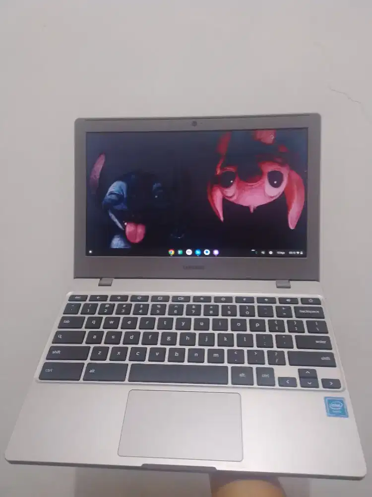 ChromeBook xe310xba