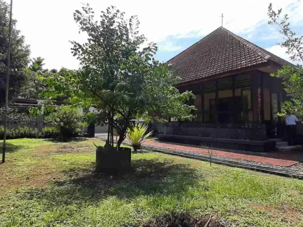Rumah Besar dan Lahan Luas di Osing Patrang Jember