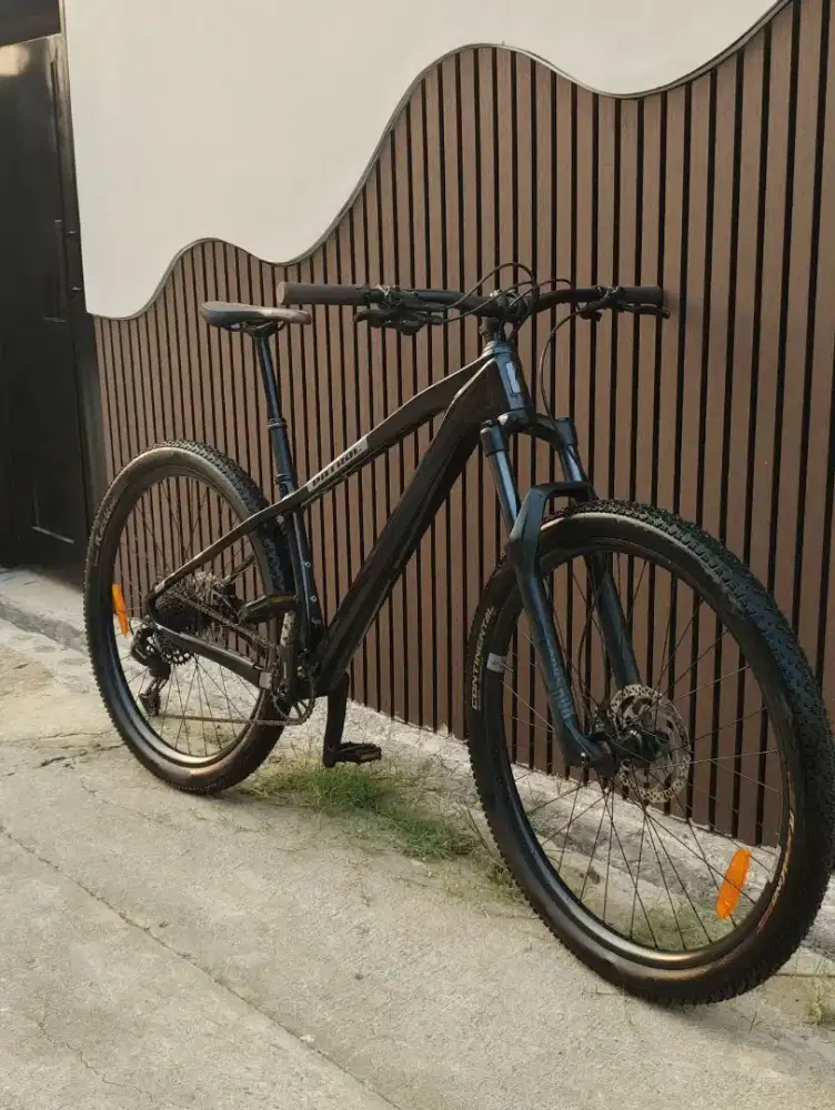 PATROL C091 CARBON 29ER MANTAPPP